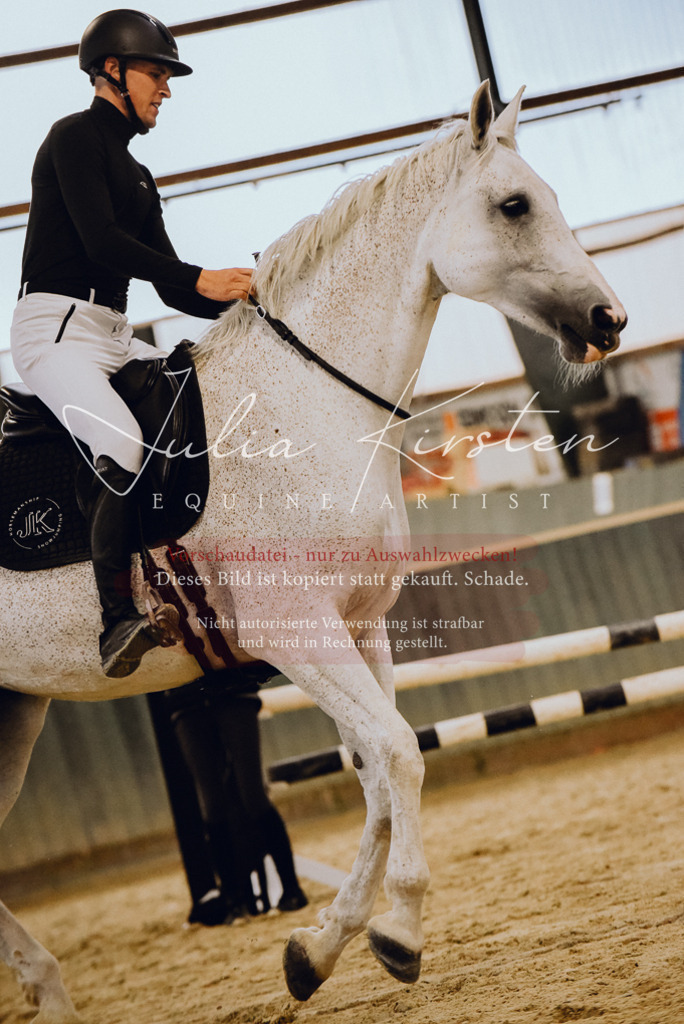 DSC_6976 | Pferde- und Turnierfotografie in Westsachsen. Pferdeportraits, Auftragszeichnungen und intuitive Kunst.