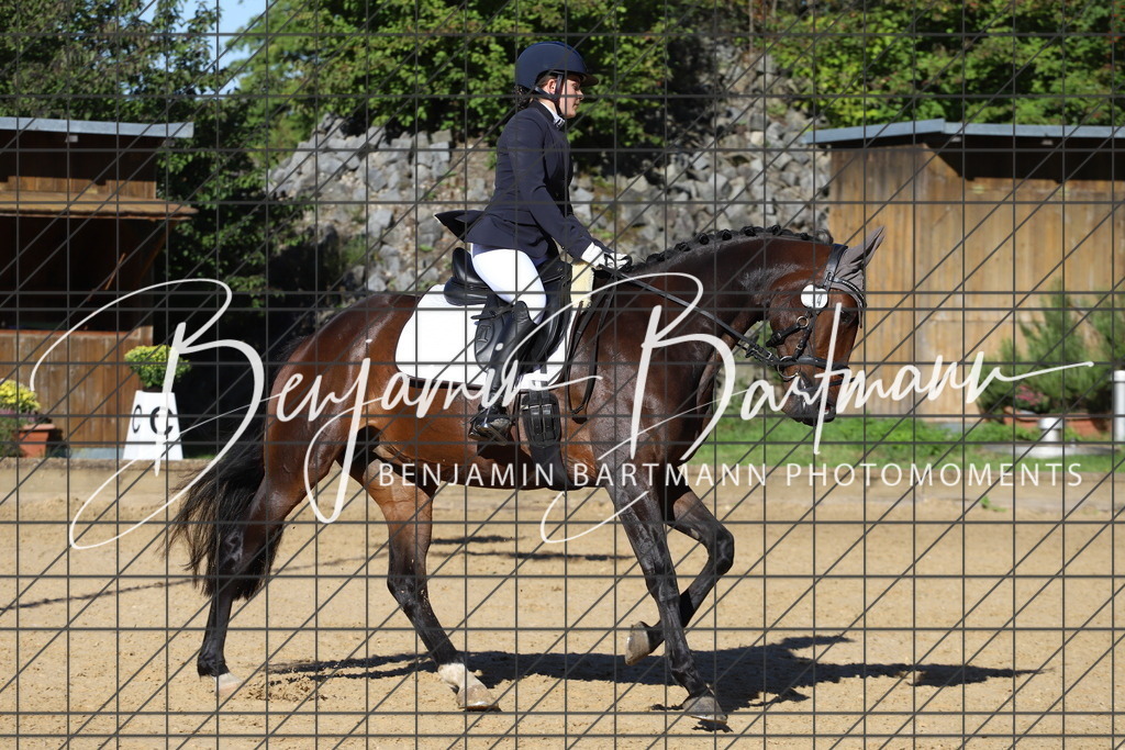 IMG_5187 | Benjamin Bartmann Photomoments