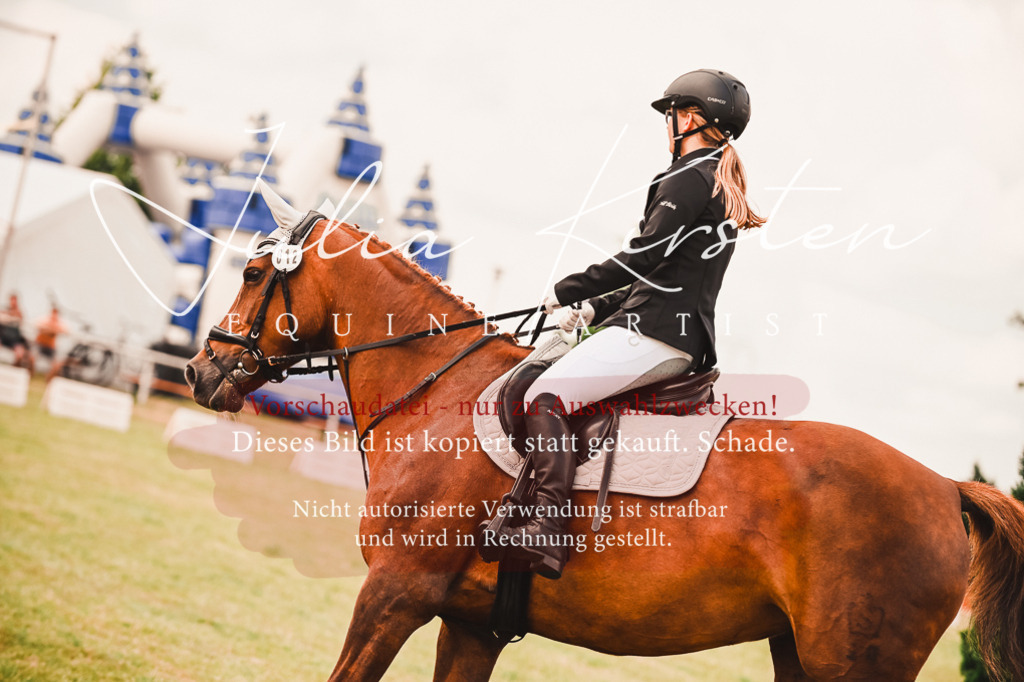 DSC_6852 | Pferde- und Turnierfotografie in Westsachsen. Pferdeportraits, Auftragszeichnungen und intuitive Kunst.