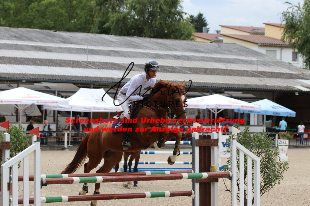 IMG_7660 | lmwpictures - Realisiert mit Pictrs.com