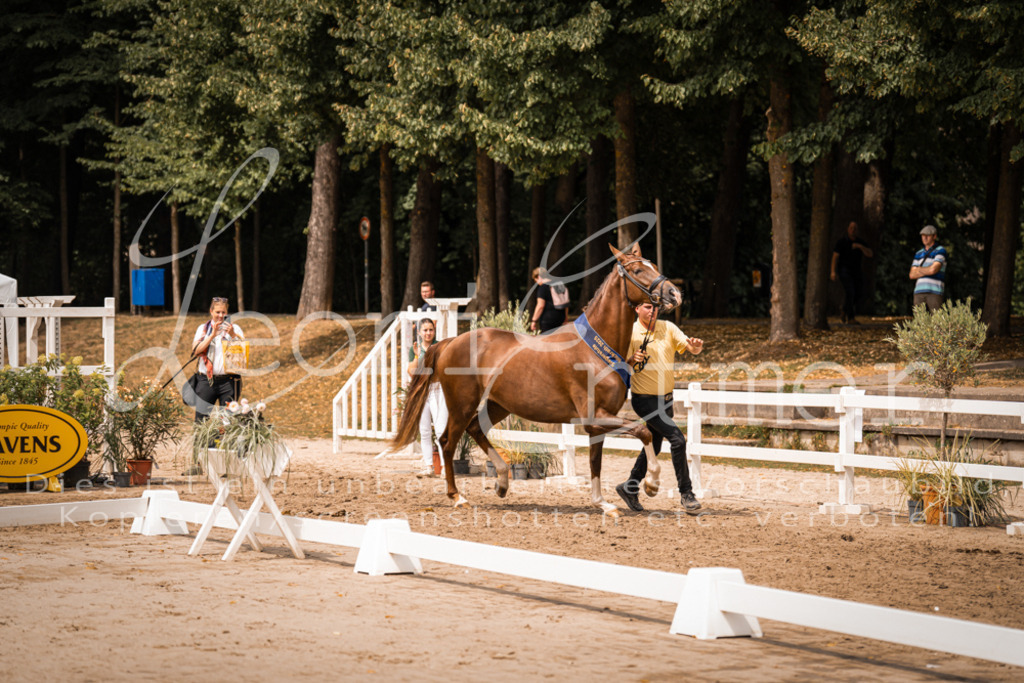 3.Fr00248 | Leoni Ertmer Photography - Realisiert mit Pictrs.com