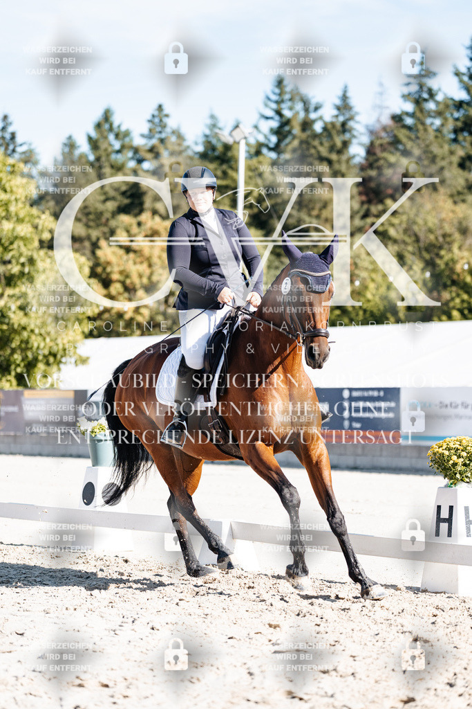 CK908046 | Turnierfotografie Pferdefotografie Trier Rheinland-Pfalz Pferdesport Reitsport Tierfotografie Sportfotografie Pferdevideo Pferdevideografie Equestrianvideography equestrianphotography  - Realisiert mit Pictrs.com