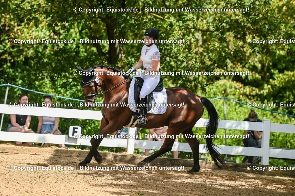 20230715_02_Dressurreiterprüfung Kl.L_0210 | equistock