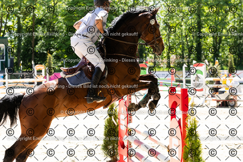 CL5A4634 | Emilia Reinking Fotografie - Realisiert mit Pictrs.com
