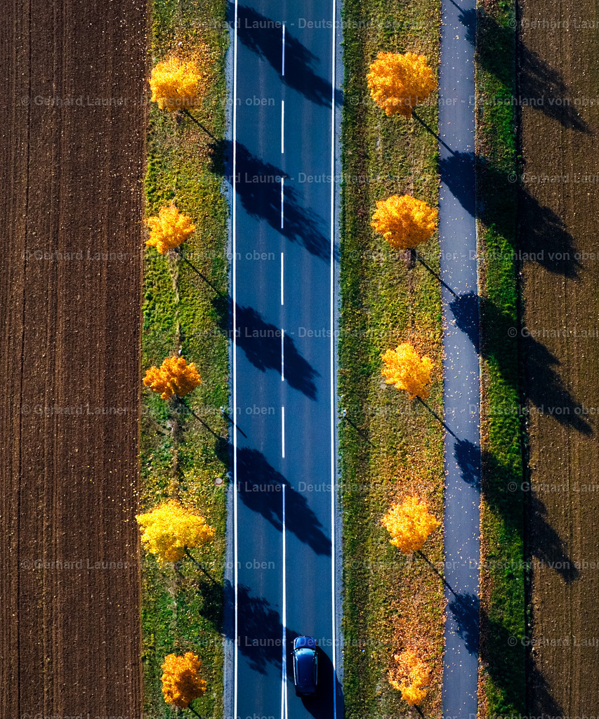 9300057 | Baumallee bei Thundorf