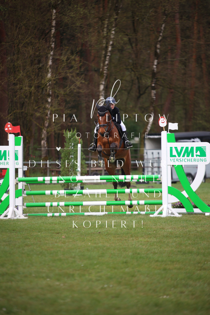 IMGT2362 | pl-fotografie