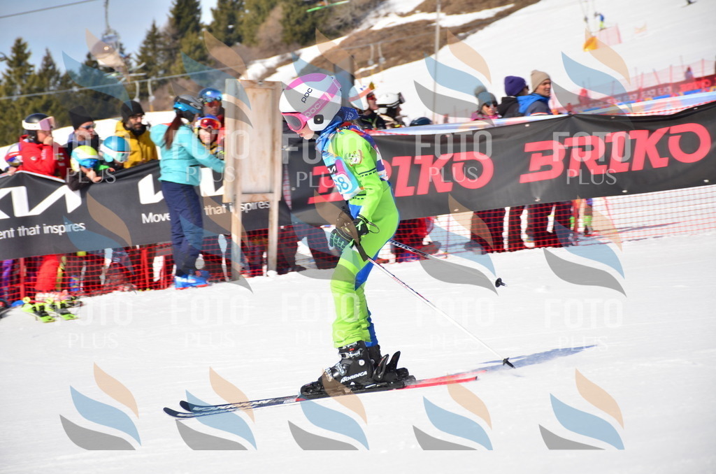 VR4_0029 | holidayphoto