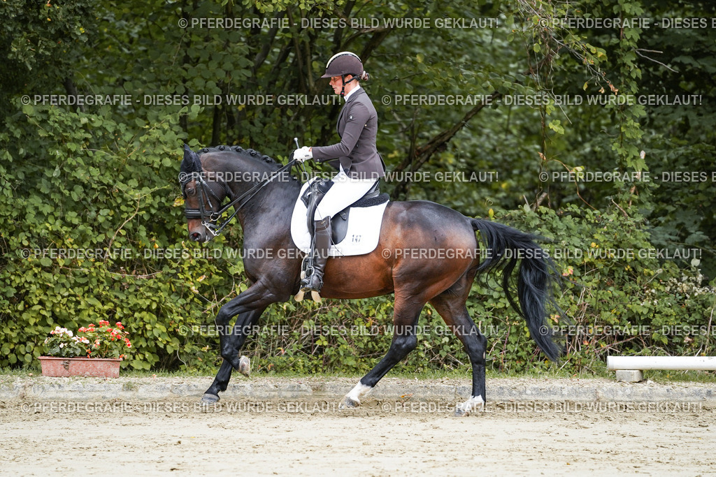 DSC08760 | Pferdegrafie