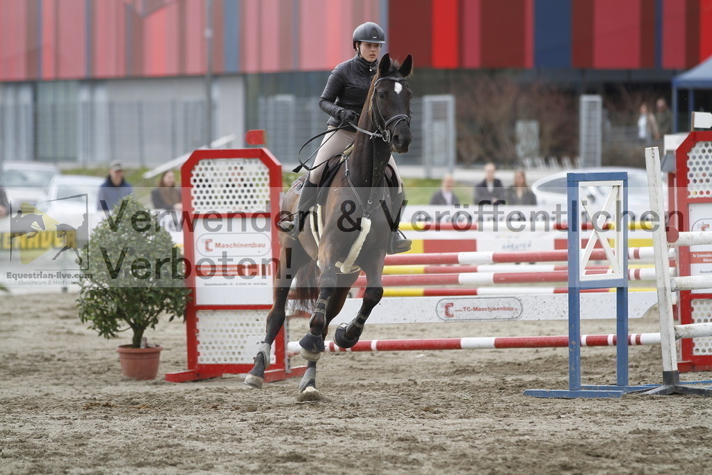 _MG_8133 | equestrian-live-com