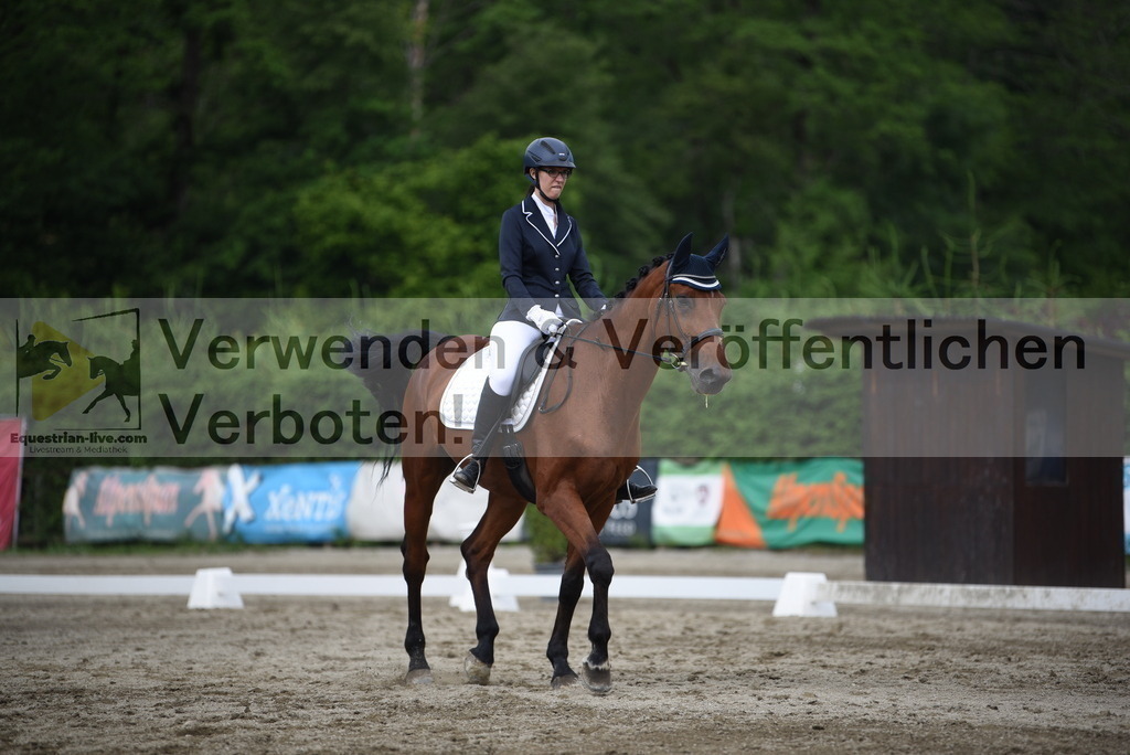 DSC_8604 | equestrian-live-com