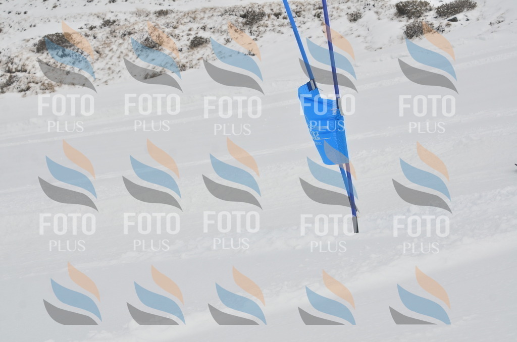 A5149 | holidayphoto