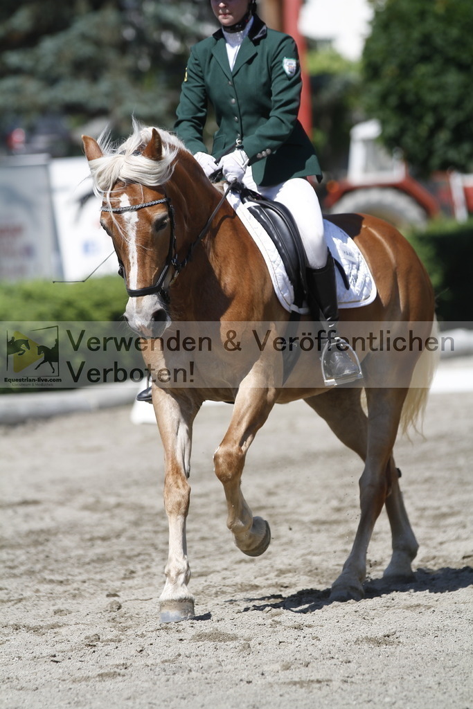 _MG_4159 | equestrian-live-com