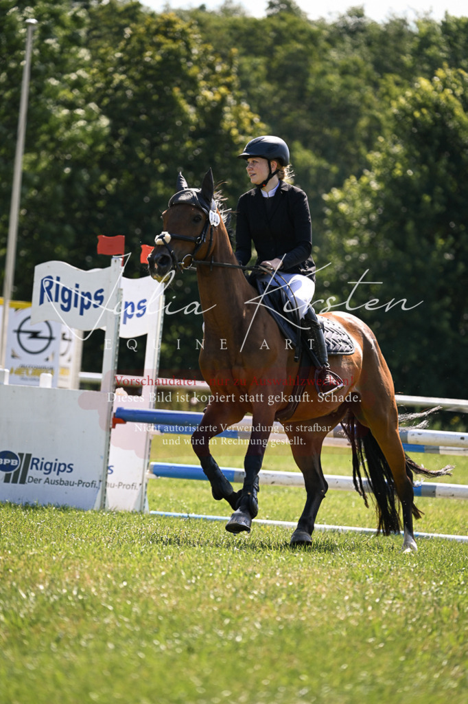 DSC_8903 | Pferde- und Turnierfotografie in Westsachsen. Pferdeportraits, Auftragszeichnungen und intuitive Kunst.