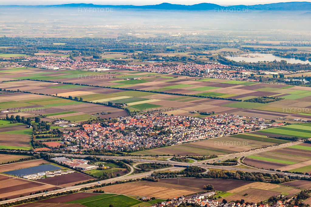 Luftbild: Ortsansicht der Straßen und Häuser der Wohngebiete in Beindersheim im Bundesland Rheinland-Pfalz in Deutschland. Foto: IMG_34401.jpg vom 03.10.2010 durch Werner Riehm/FLY-FOTO.de
