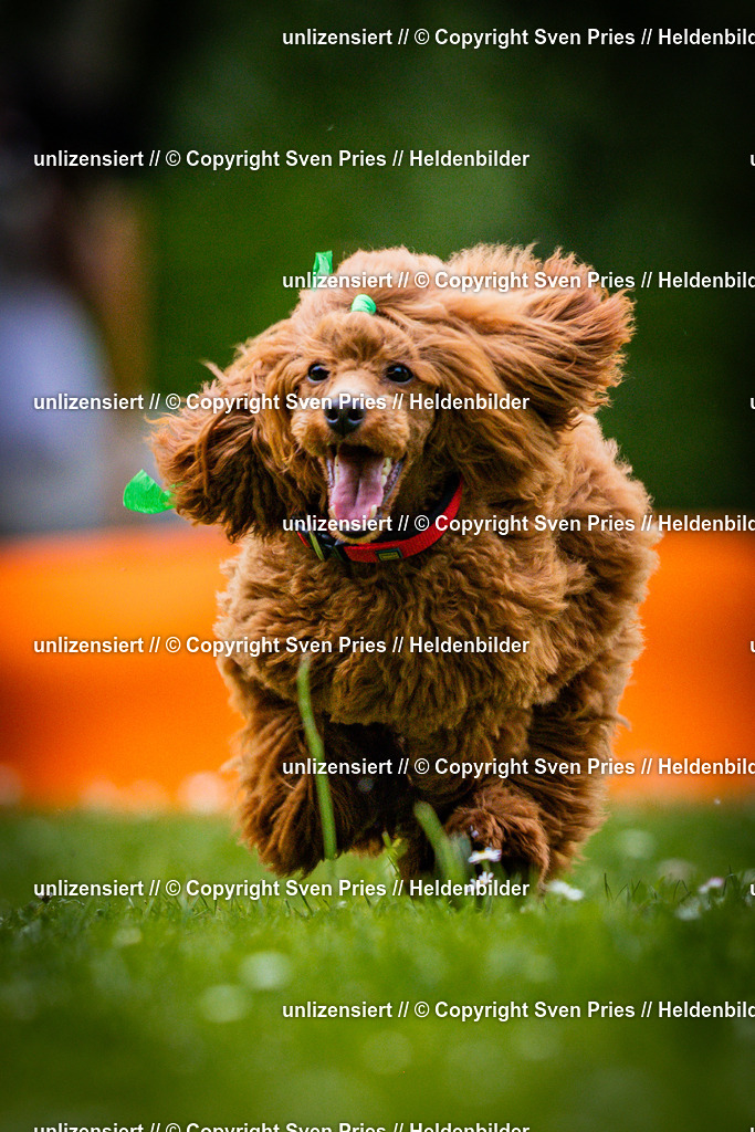 Sven Pries | 2025-05-29 - Pudelrennen KA-Durlach - Realisiert mit Pictrs.com