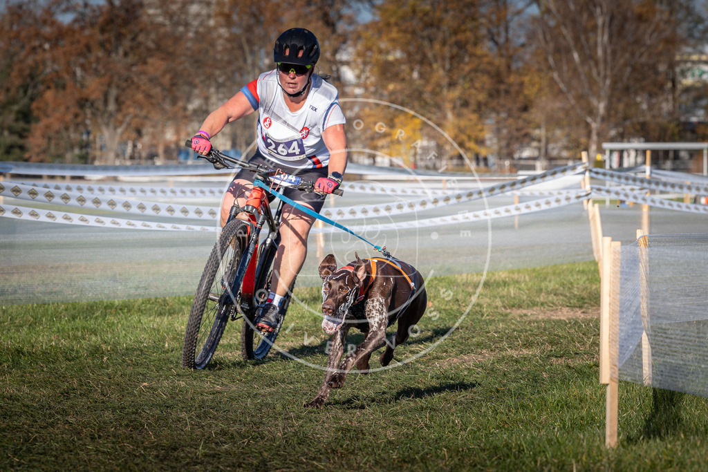 CaniXpix_0L8A5051 | Hundefotografie, Tierfotograf, Pfotenfotografie, Fotoshooting Hund, Hunde Portrait, Hundesport, Hundeportraits, Heideshooting, Hunde, Sportfotograf, Hundefotograf, Turnierhundsport, THS,  - Realisiert mit Pictrs.com