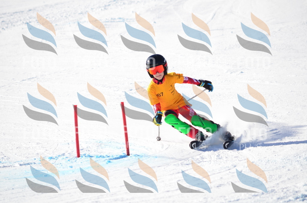 C6244 | holidayphoto