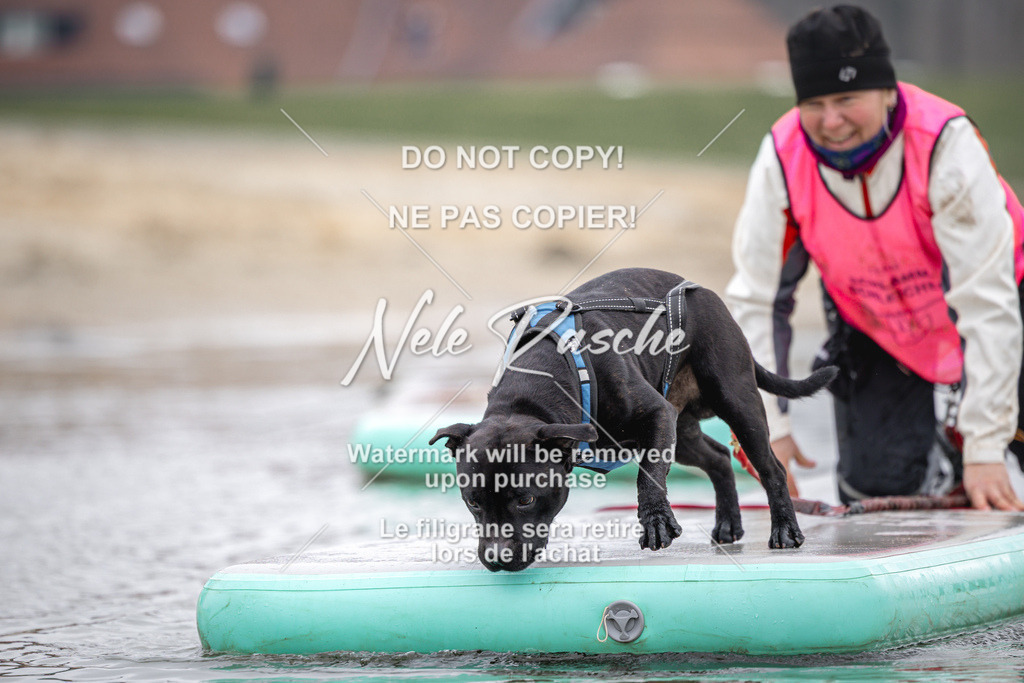 nelerasche_Hulsbeek_Sa1100-1130_232 | nelerasche