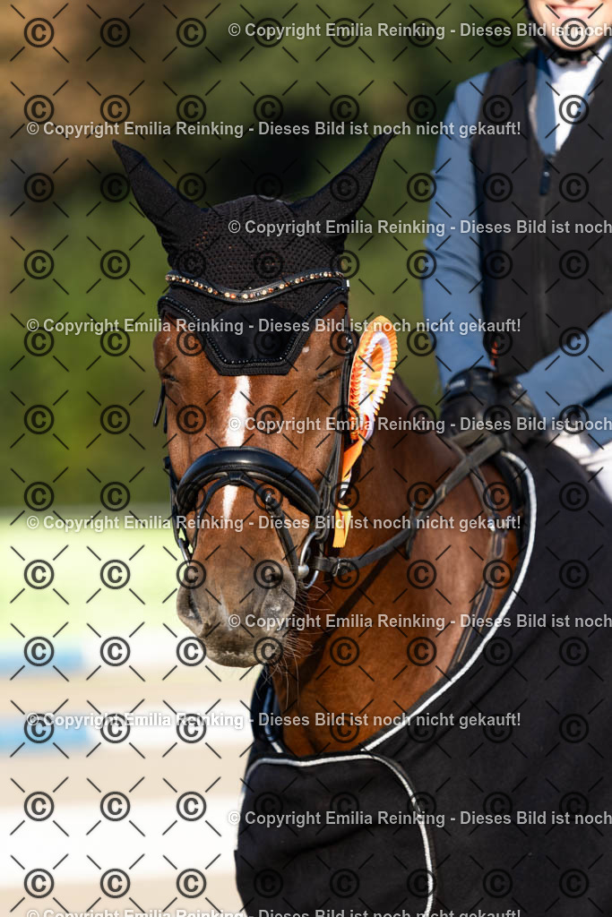 CL5A5283 | Emilia Reinking Fotografie - Realisiert mit Pictrs.com