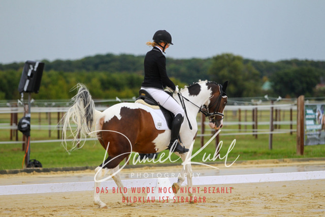 DKP43524 | Turniersportfotografie; Pferdefotografie; Dressurfotografie