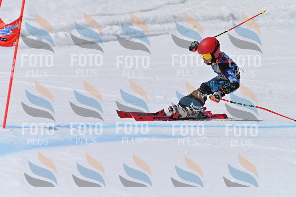 BGV_6528 | holidayphoto