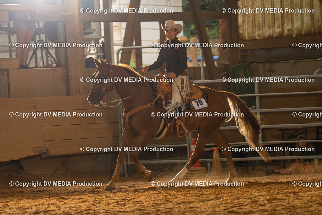 NID01616 | dv-media-shop - Realisiert mit Pictrs.com