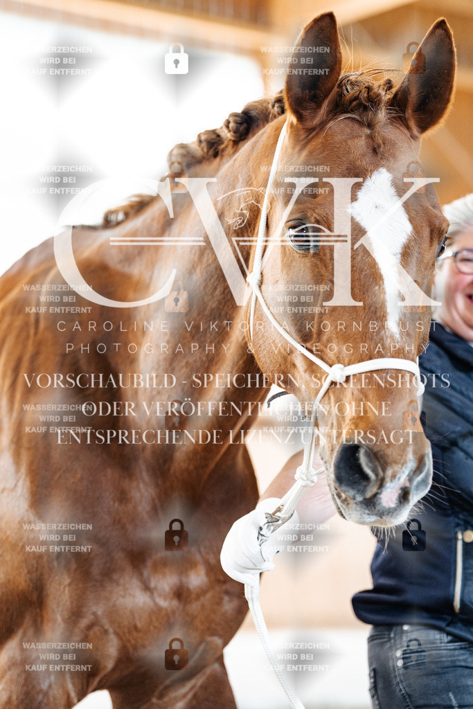 CK906187 | Turnierfotografie Pferdefotografie Trier Rheinland-Pfalz Pferdesport Reitsport Tierfotografie Sportfotografie Pferdevideo Pferdevideografie Equestrianvideography equestrianphotography  - Realisiert mit Pictrs.com
