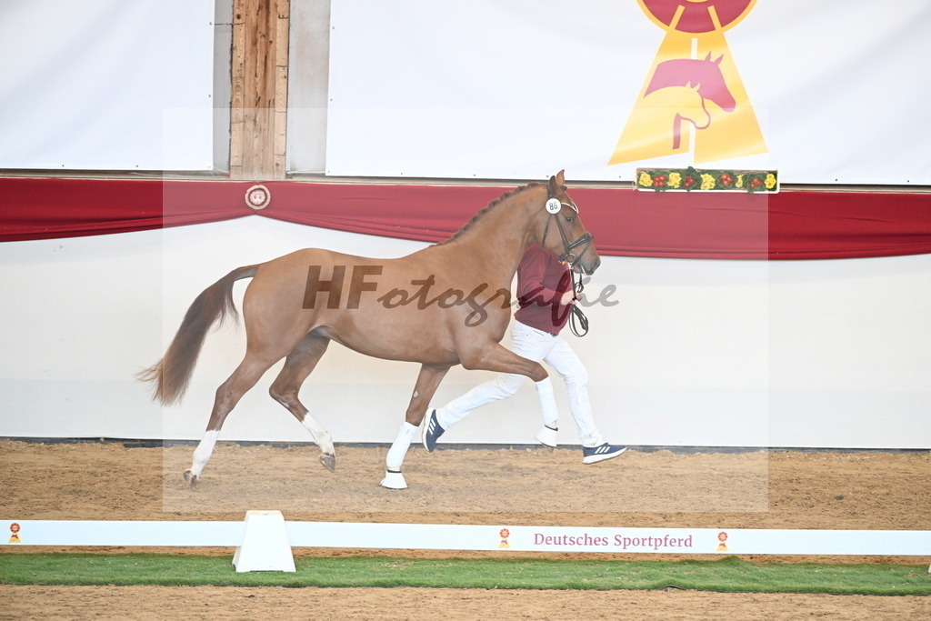 Kat.-Nr. 86 v. Vitalis_Bachinger_2250865 | hf-fotografie - Realisiert mit Pictrs.com