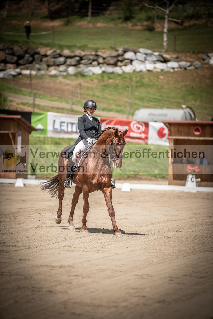 DSC_1548 | equestrian-live-com