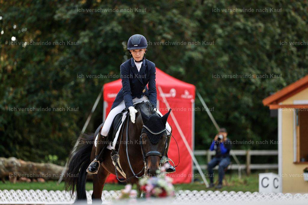 11-123-Dressur S___-StoibPH-1392 | working equitationturnier fotograf videograf stoibphotography marixx film working equitation deutschland reitsport turnierfotografie eventfotografie equestrian events