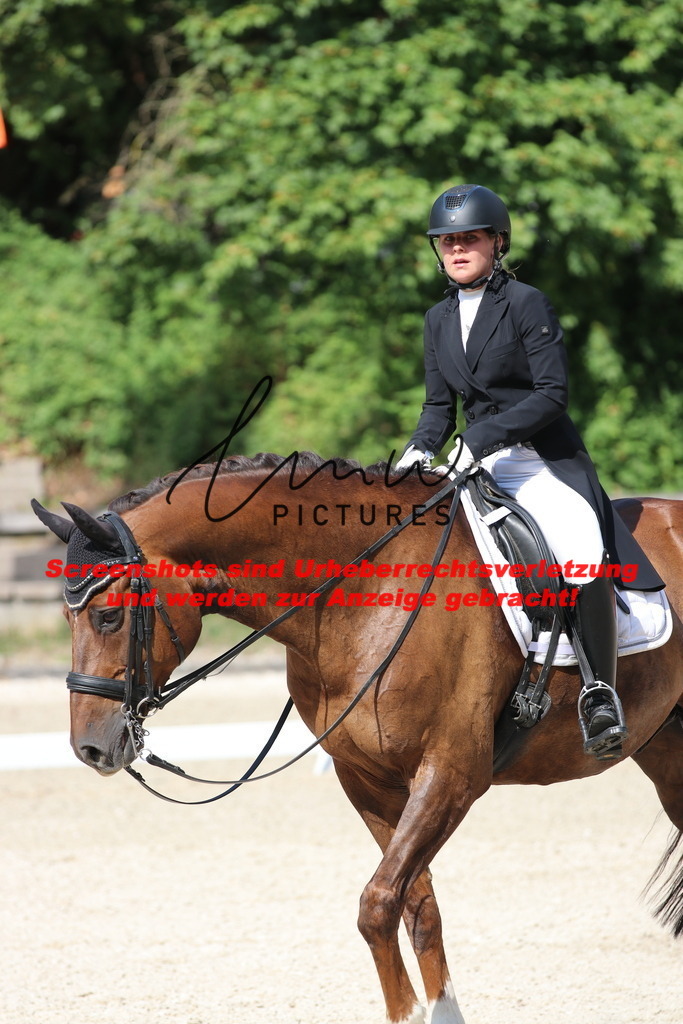 IMG_6881 | lmwpictures - Realisiert mit Pictrs.com