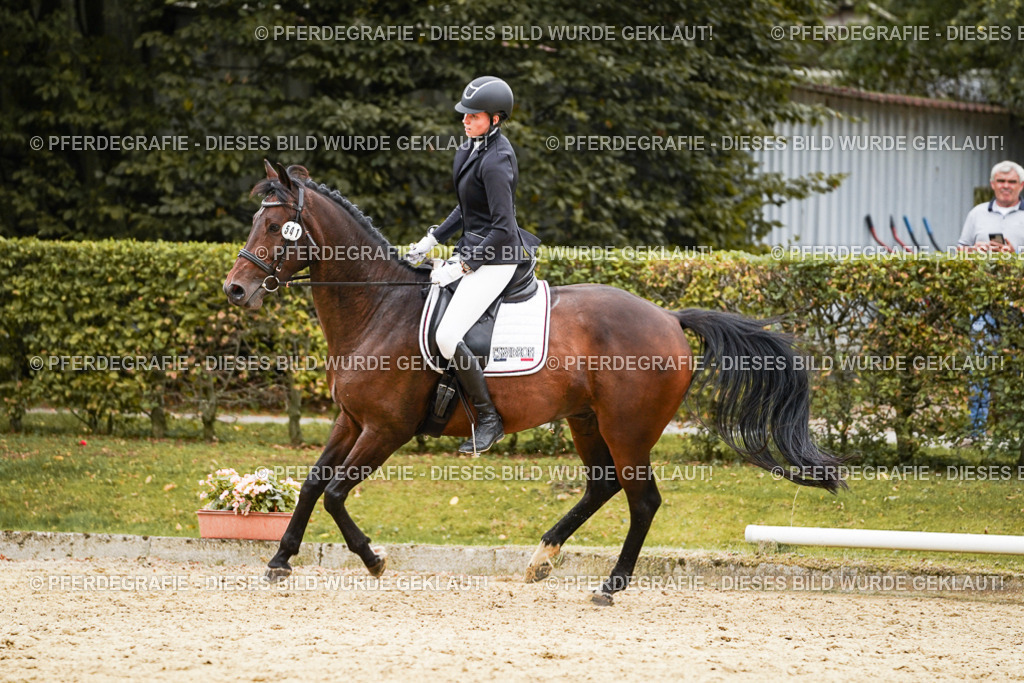 DSC00070 | Pferdegrafie