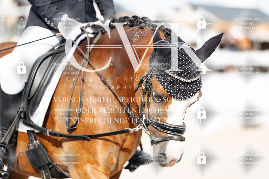 CK904138 | Turnierfotografie Pferdefotografie Trier Rheinland-Pfalz Pferdesport Reitsport Tierfotografie Sportfotografie Pferdevideo Pferdevideografie Equestrianvideography equestrianphotography  - Realisiert mit Pictrs.com