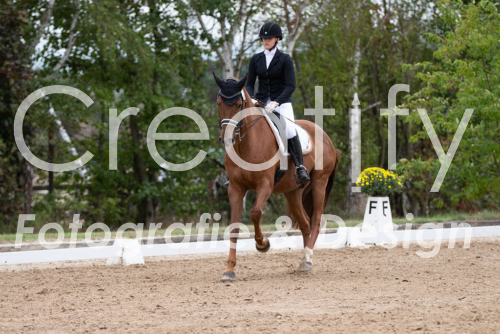 IMG_7662 | Creatify Fotografie