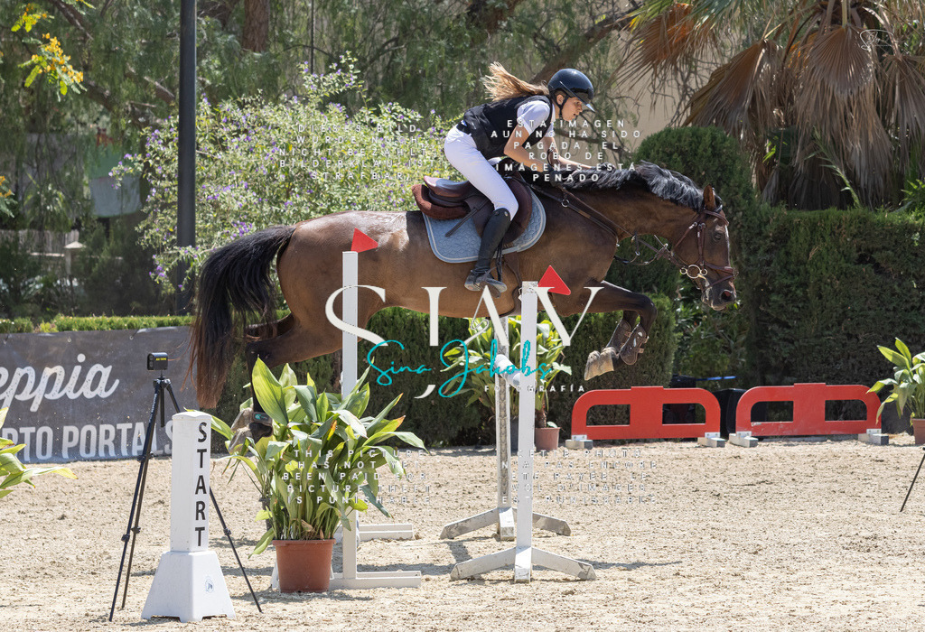 IMG_2749 | s-jay-photography - Realisiert mit Pictrs.com