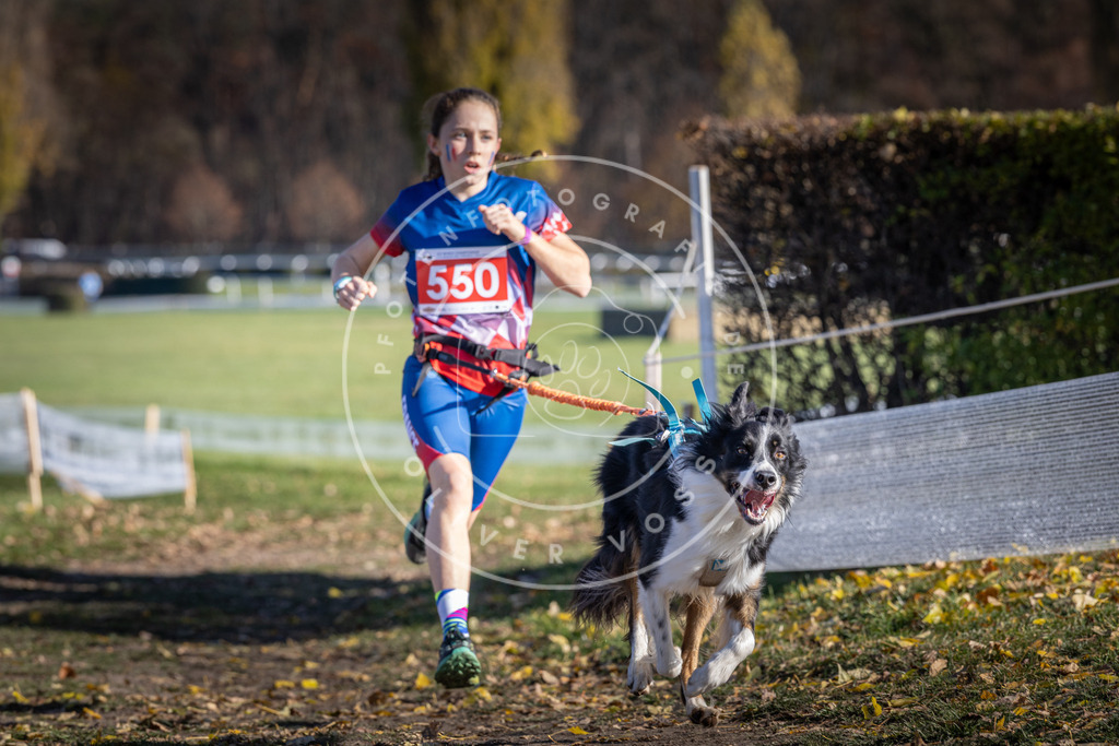 CaniXpix_DV3A8494 | Hundefotografie, Tierfotograf, Pfotenfotografie, Fotoshooting Hund, Hunde Portrait, Hundesport, Hundeportraits, Heideshooting, Hunde, Sportfotograf, Hundefotograf, Turnierhundsport, THS,  - Realisiert mit Pictrs.com