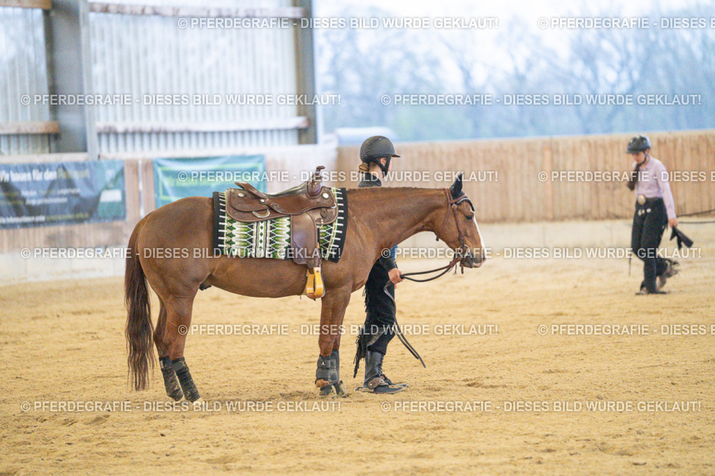 DSC09579 | Pferdegrafie