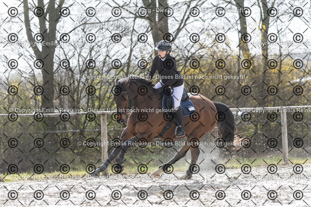 CL5A7780 | Emilia Reinking Fotografie - Realisiert mit Pictrs.com