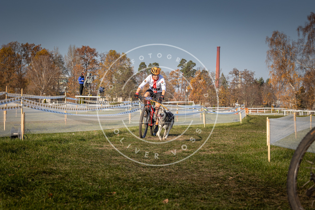 CaniXpix_0L8A8072 | Hundefotografie, Tierfotograf, Pfotenfotografie, Fotoshooting Hund, Hunde Portrait, Hundesport, Hundeportraits, Heideshooting, Hunde, Sportfotograf, Hundefotograf, Turnierhundsport, THS,  - Realisiert mit Pictrs.com