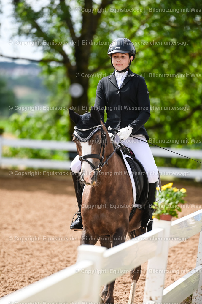 20230716_10-1_Reiter-WB Schritt - Trab - Galopp_0202 | equistock