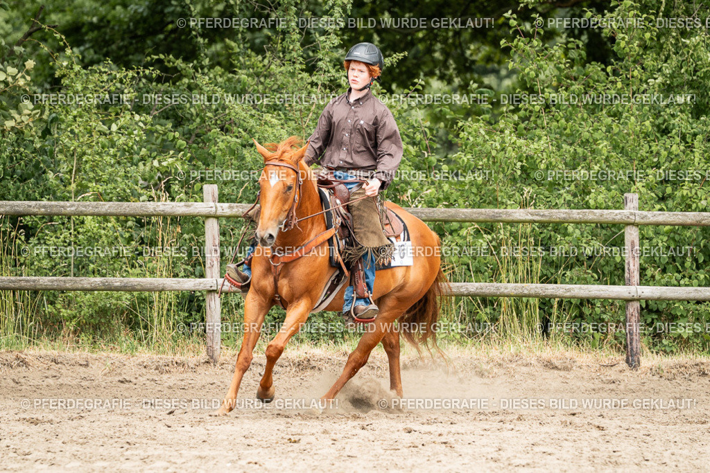 DSC01374 | Pferdegrafie