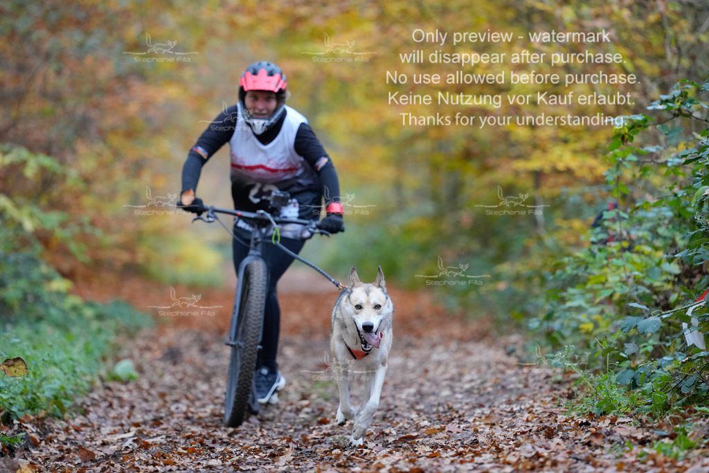 Scooter_So-44 | stephaniefillaphotographie - Realisiert mit Pictrs.com