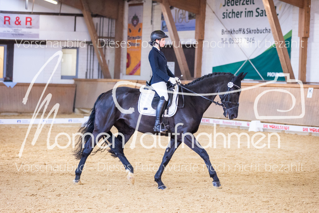 Sth-A-Dre-1St-213 | MomenTaufnahmen Pferdesportfotos