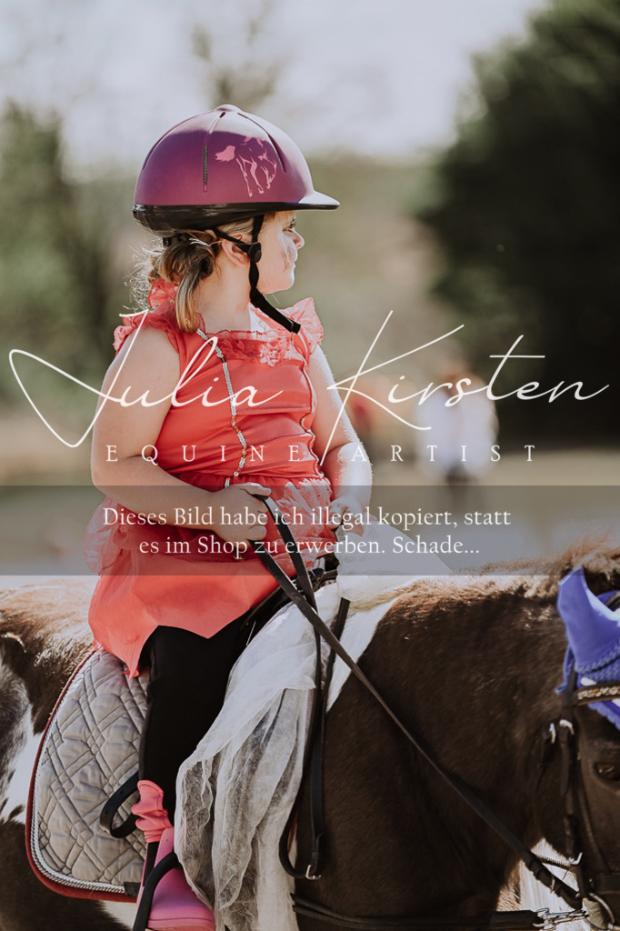 DSC_9148 | Pferde- und Turnierfotografie in Westsachsen. Pferdeportraits, Auftragszeichnungen und intuitive Kunst.