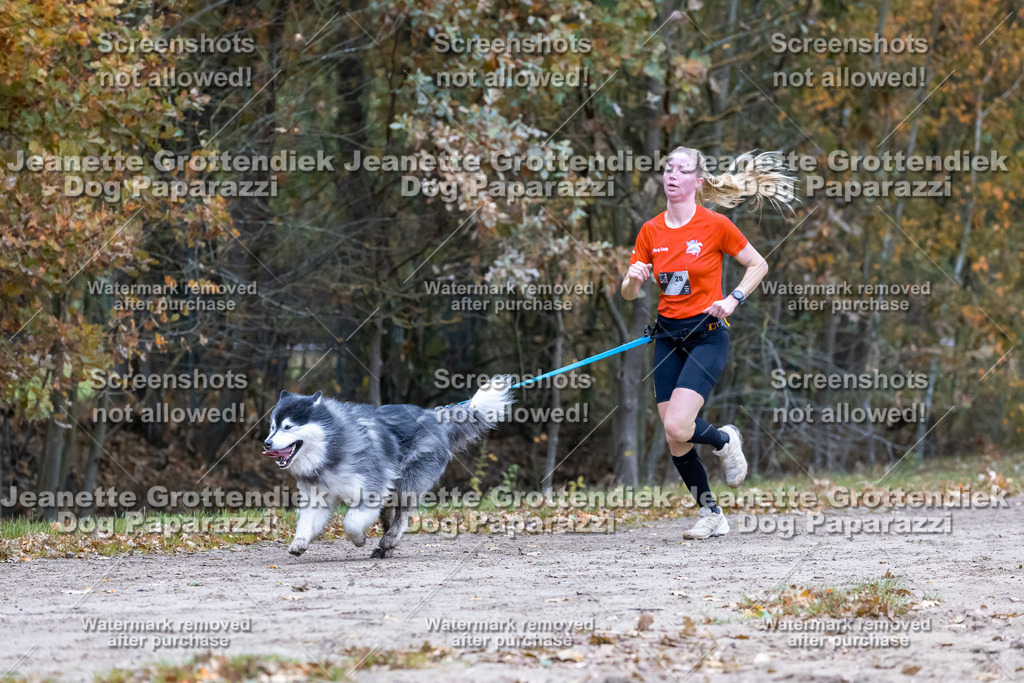 Dog Paparazzi - SD CaniX Championship 2025-313 | Dog Paparazzi Jeanette Grottendiek Fotografie & Videografie - Realisiert mit Pictrs.com