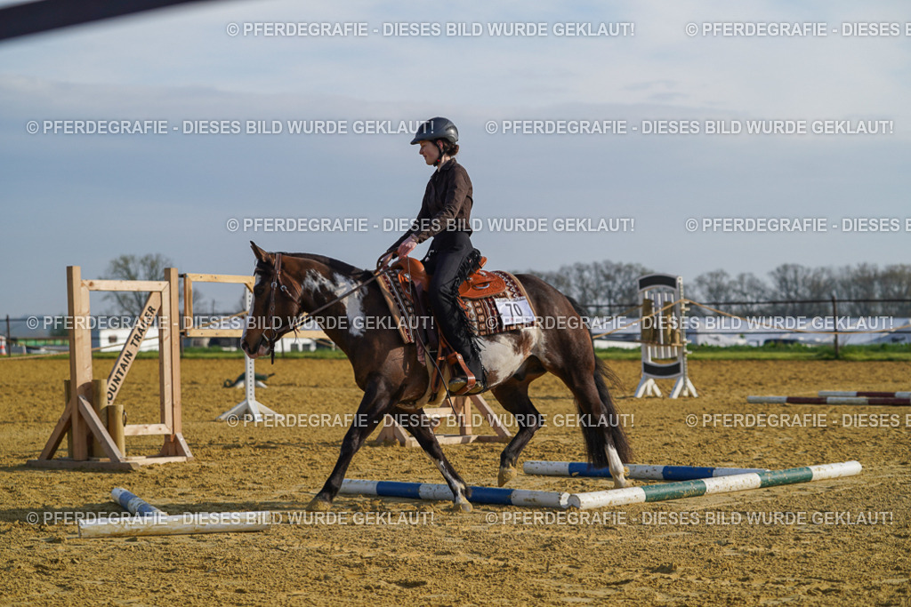 DSC00757 | Pferdegrafie