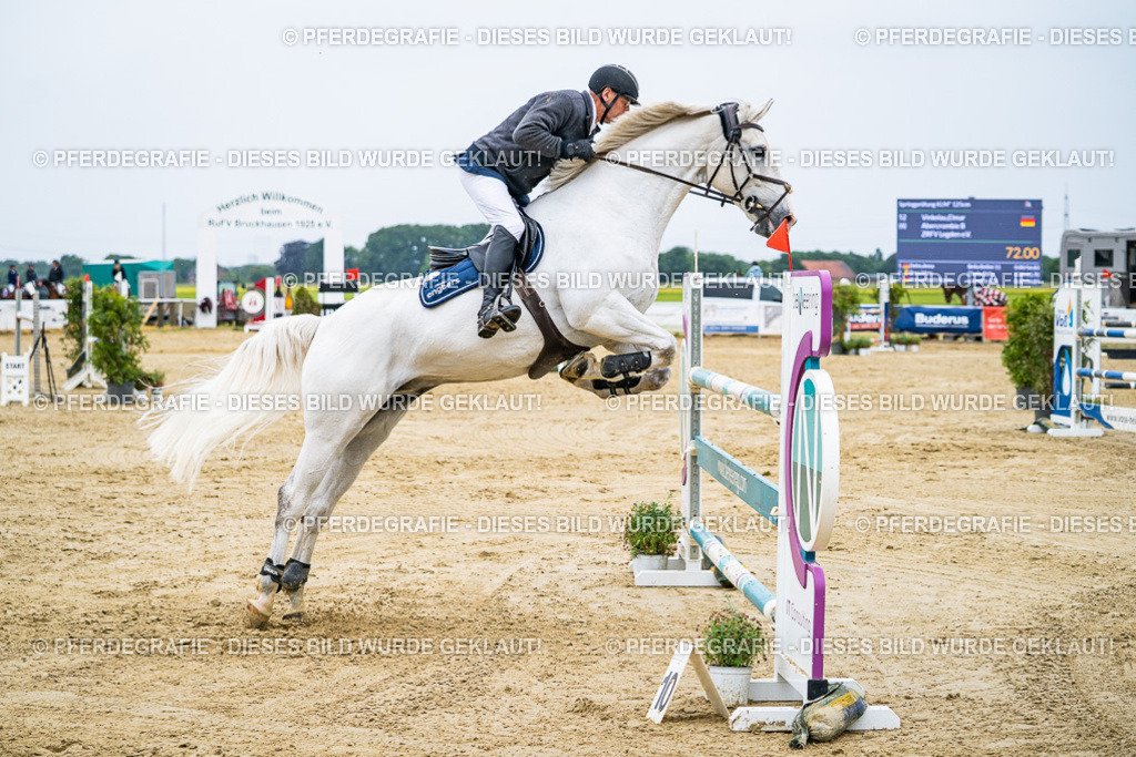 DSC08309 | Pferdegrafie