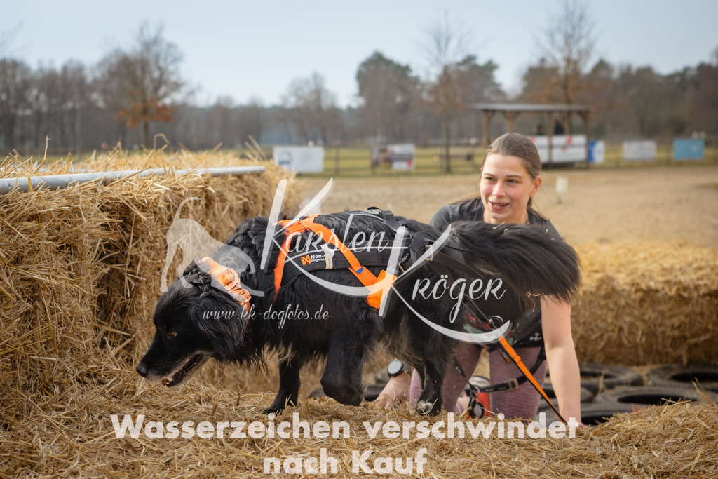 1053_ZZ90969 | kk-dogfotos