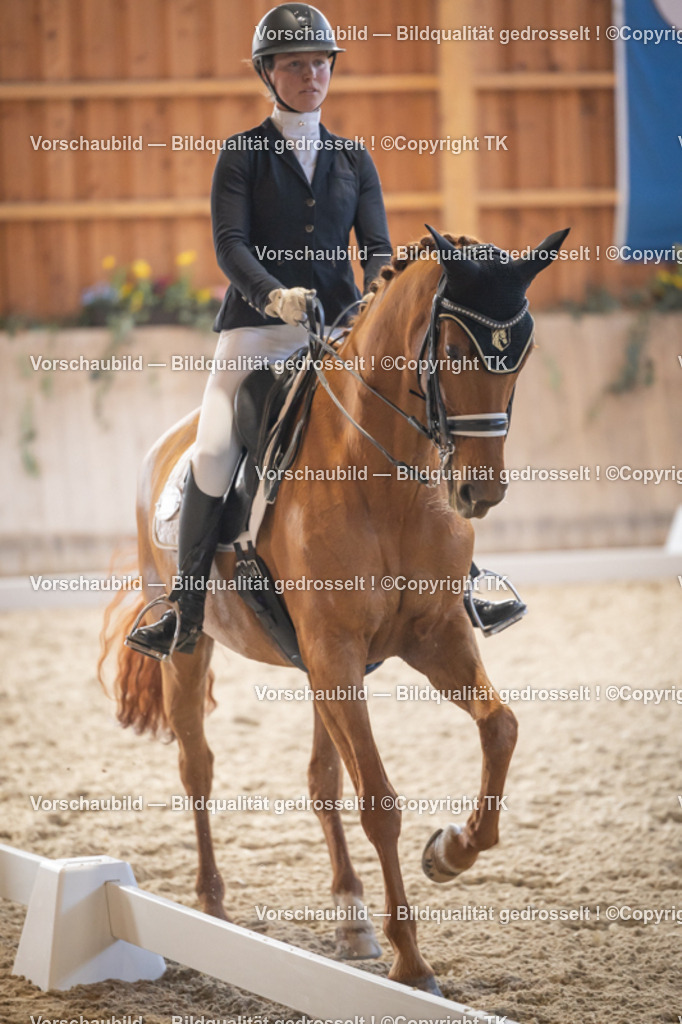 _D5A2781 | Emotionale Pferde- & People-Fotografie rund um Heidelberg, Leimen & Umgebung. Natürliche Fotos von Pferd, Mensch & Familie. Jetzt Termin sichern!