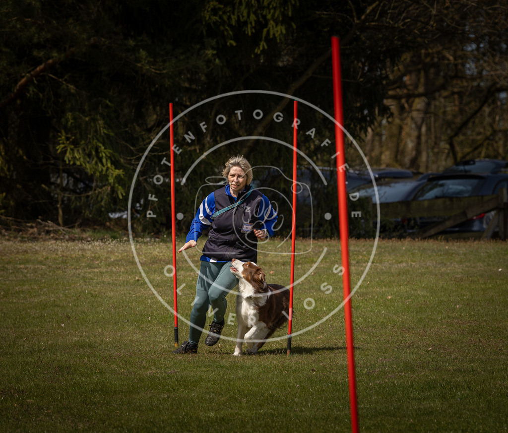 Pfotenfotografie_DV3A4144 | Hundefotografie, Tierfotograf, Pfotenfotografie, Fotoshooting Hund, Hunde Portrait, Hundesport, Hundeportraits, Heideshooting, Hunde, Sportfotograf, Hundefotograf, Turnierhundsport, THS,  - Realisiert mit Pictrs.com